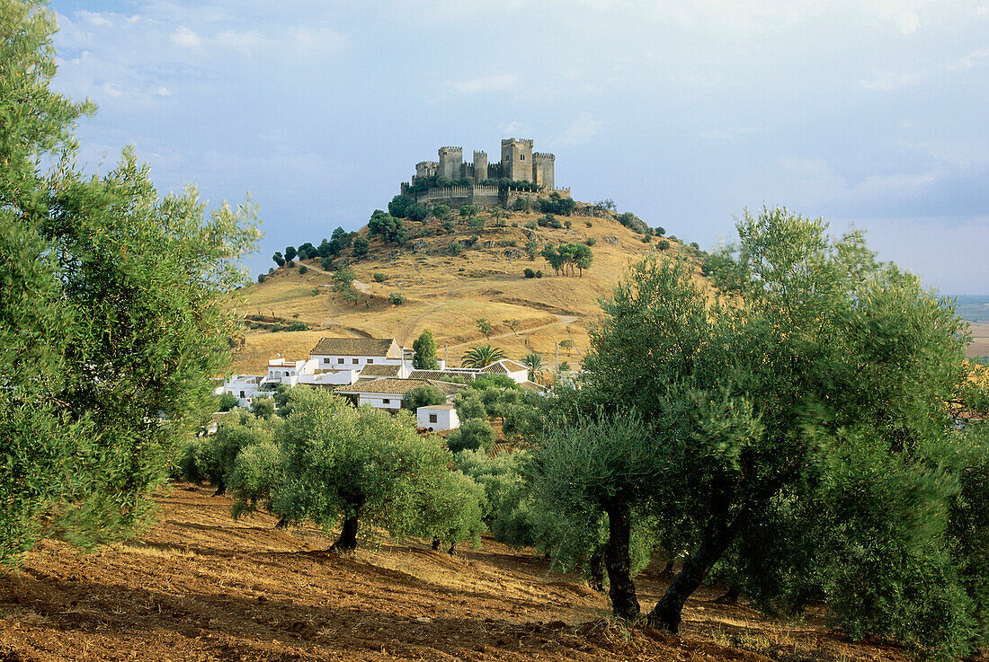 Castillo, maurische Burg, Almodóvar del Río, Provinz Cordoba, Andalusien, Spanien