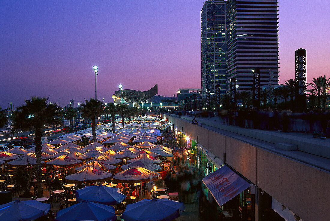 Restaurant in the evening, Vila Olimpica, Barcelona, Catalonia, Spain