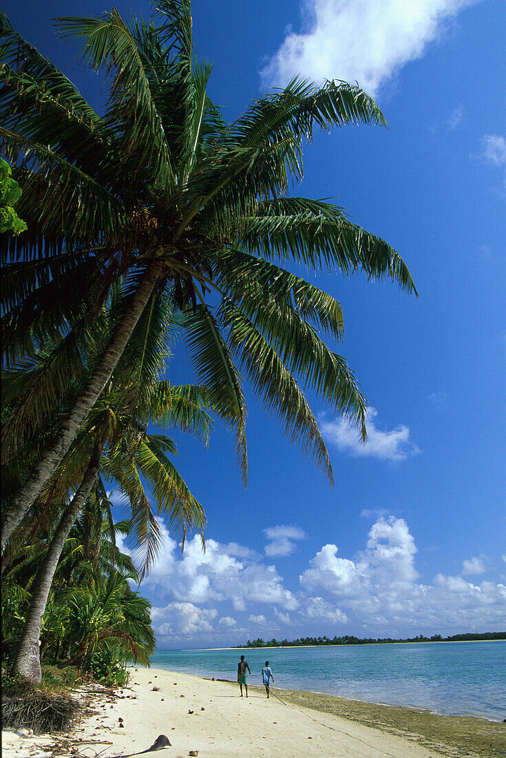 Palmenstrand, Ile aux Nattes, Ile Sainte Marie, Madagaskar, Indischer Ozean