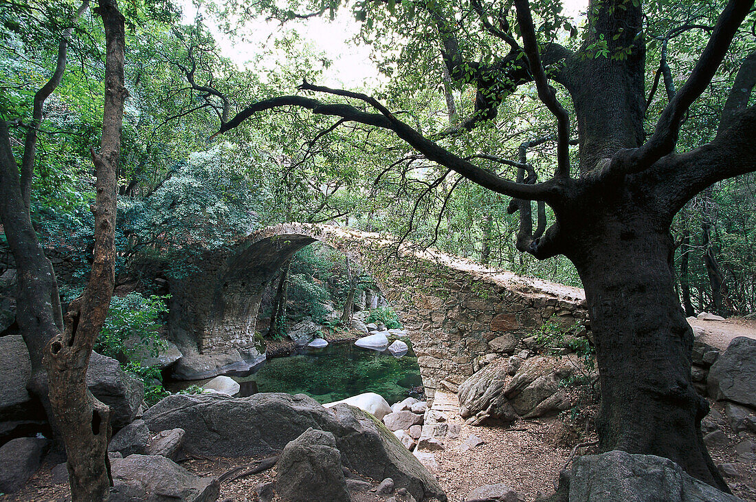 Wanderweg, Pont de Zaglia, Schlucht Spelunca, Korsika, Frankreich