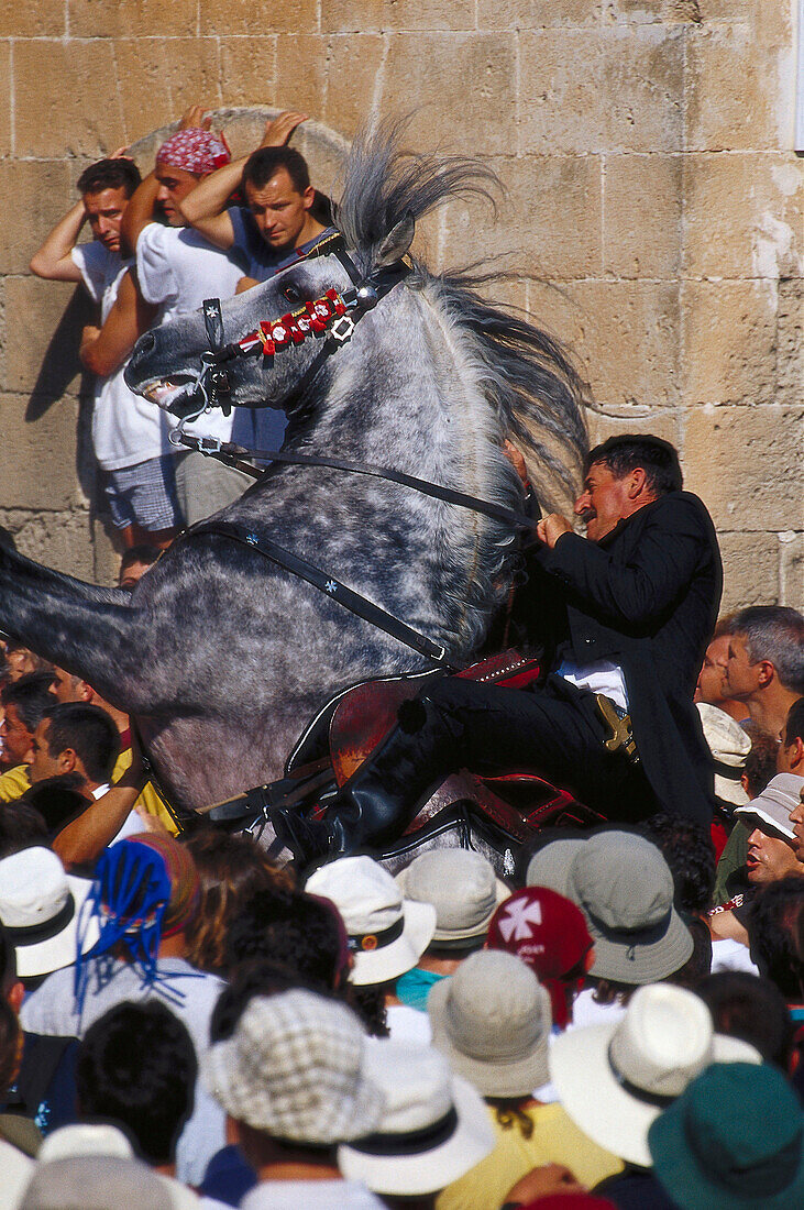 Traditional horse dance of the Menorcan horses, Jaleo, Ciutadella, Minorca, Spain