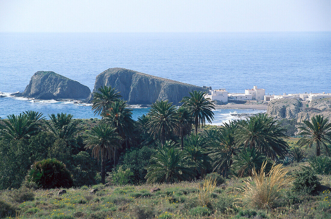 Blick auf Palmen und weiße Häuser an der Küste, La Isleta del Moro, Cabo de Gata, Provinz Almeria, Andalusien, Spanien, Europa