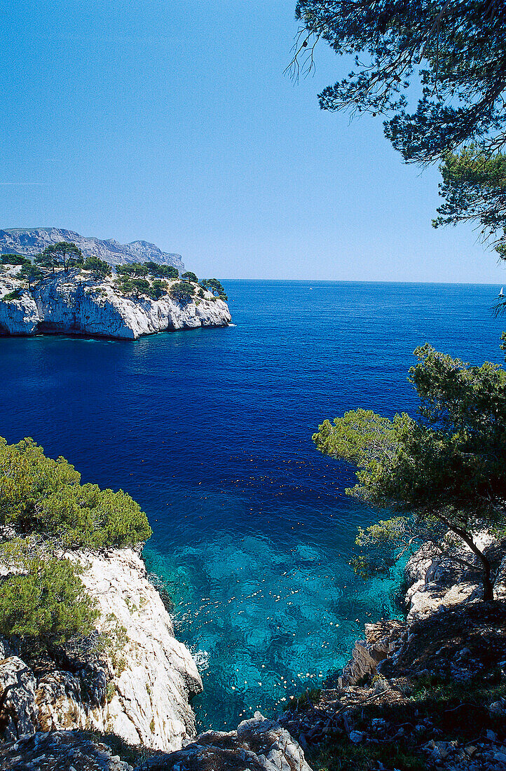 Calanque de Port-Miou, Cote d'Azur, Bouches-du-Rhone, Provence, France