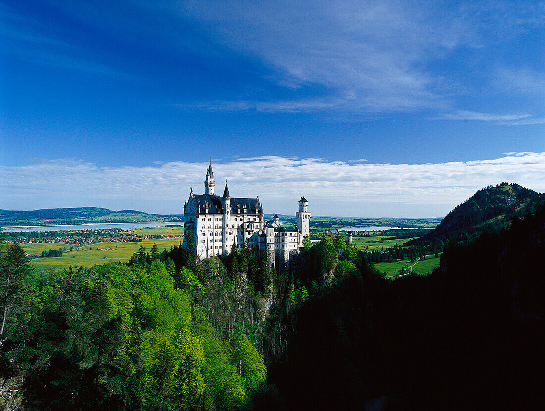 Schloss Neuschwanstein, Allgäu, Oberbayern, Bayern, Deutschland