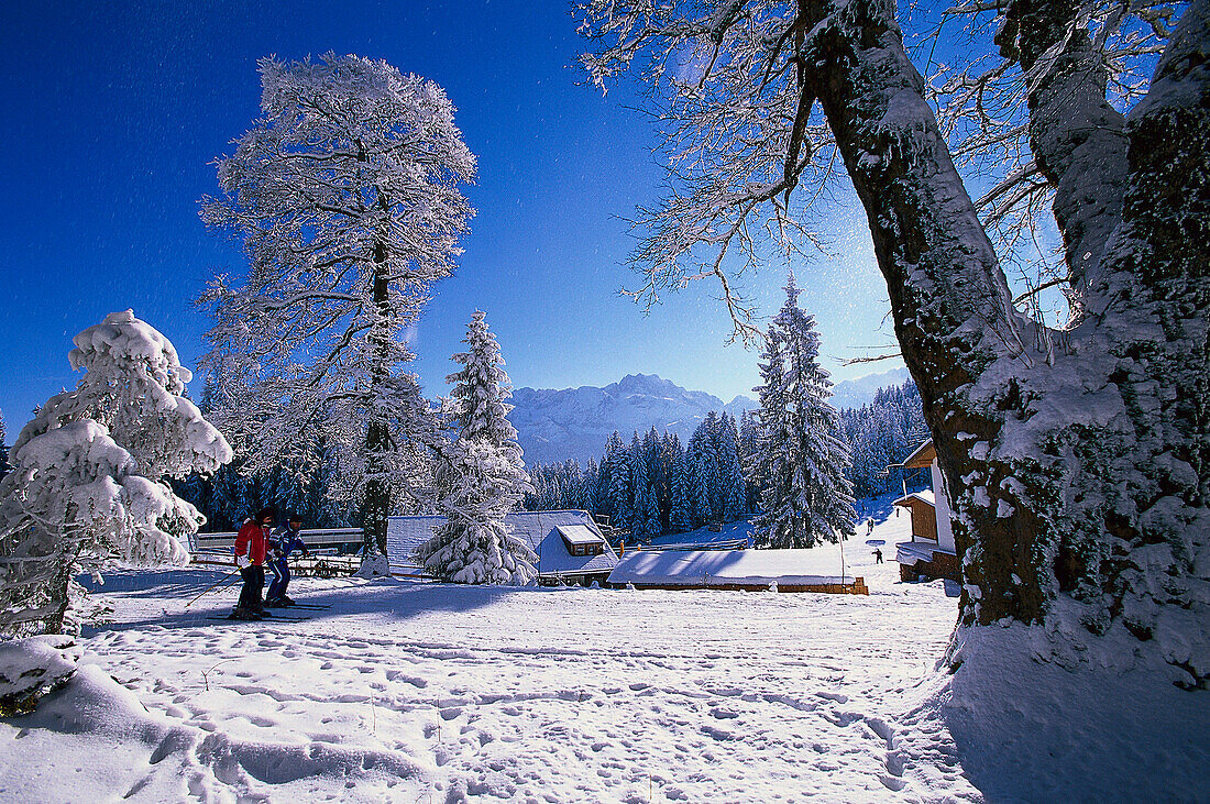 Skiing Region Hausberg, Garmisch-Partenkirchen, Upper Bavaria, Bavaria, Germany