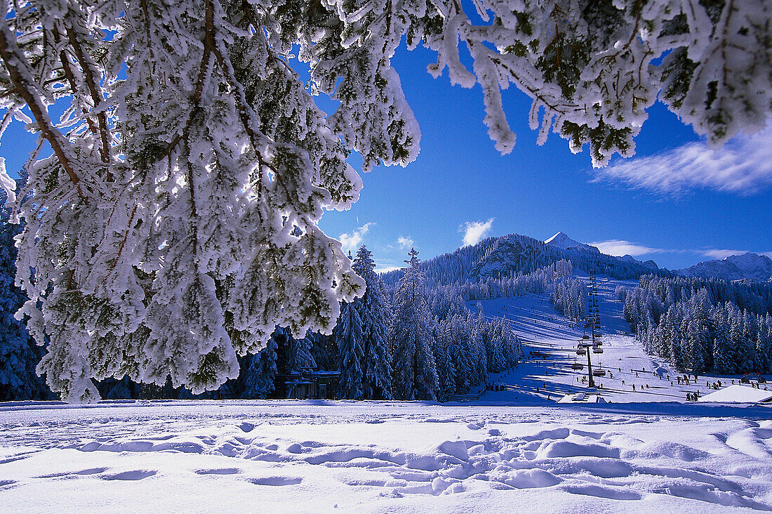 Snow covered landscape, skiing region Hausberg, Garmisch Partenkirchen, Bavaria, Germany