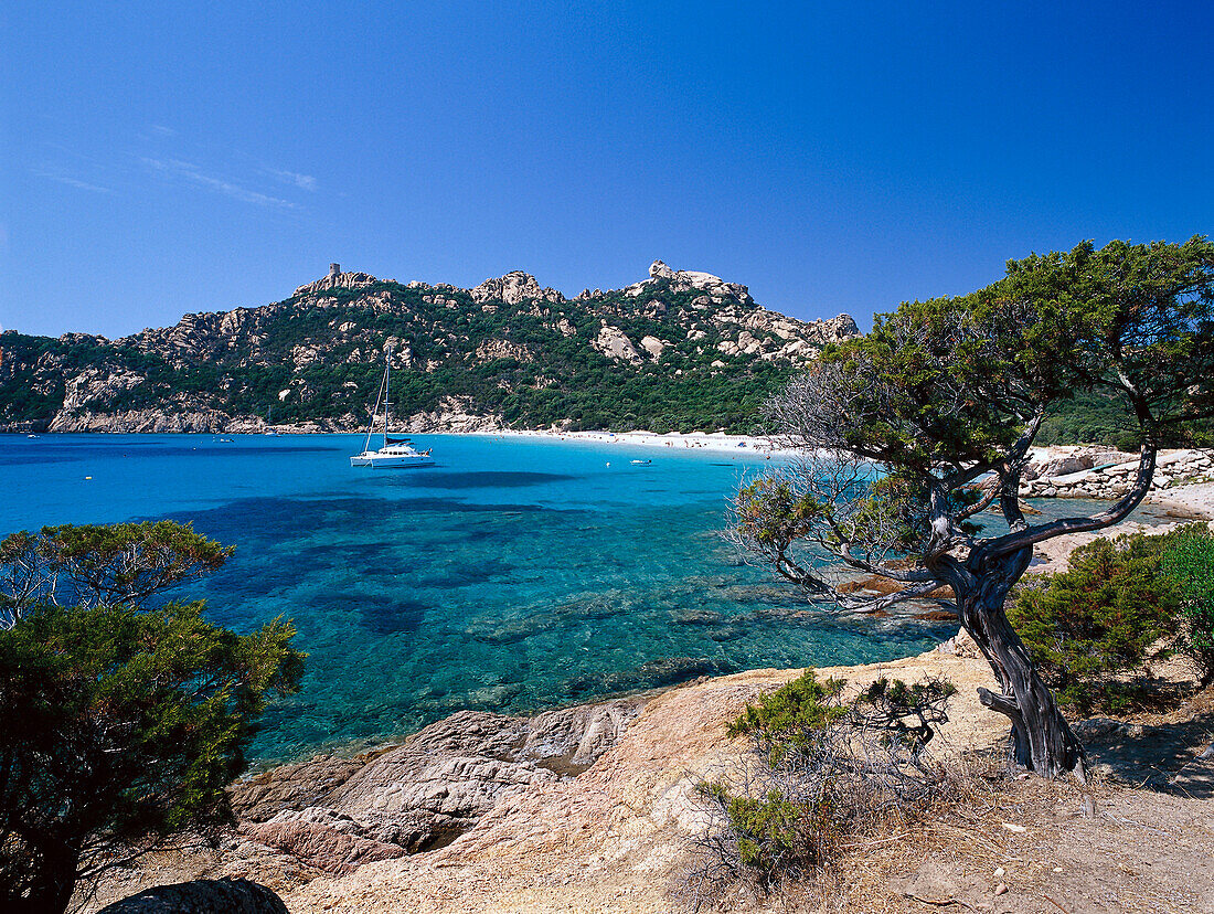 Plage de Roccapina, Strand bei Sartène Korsika, Korsika, Frankreich