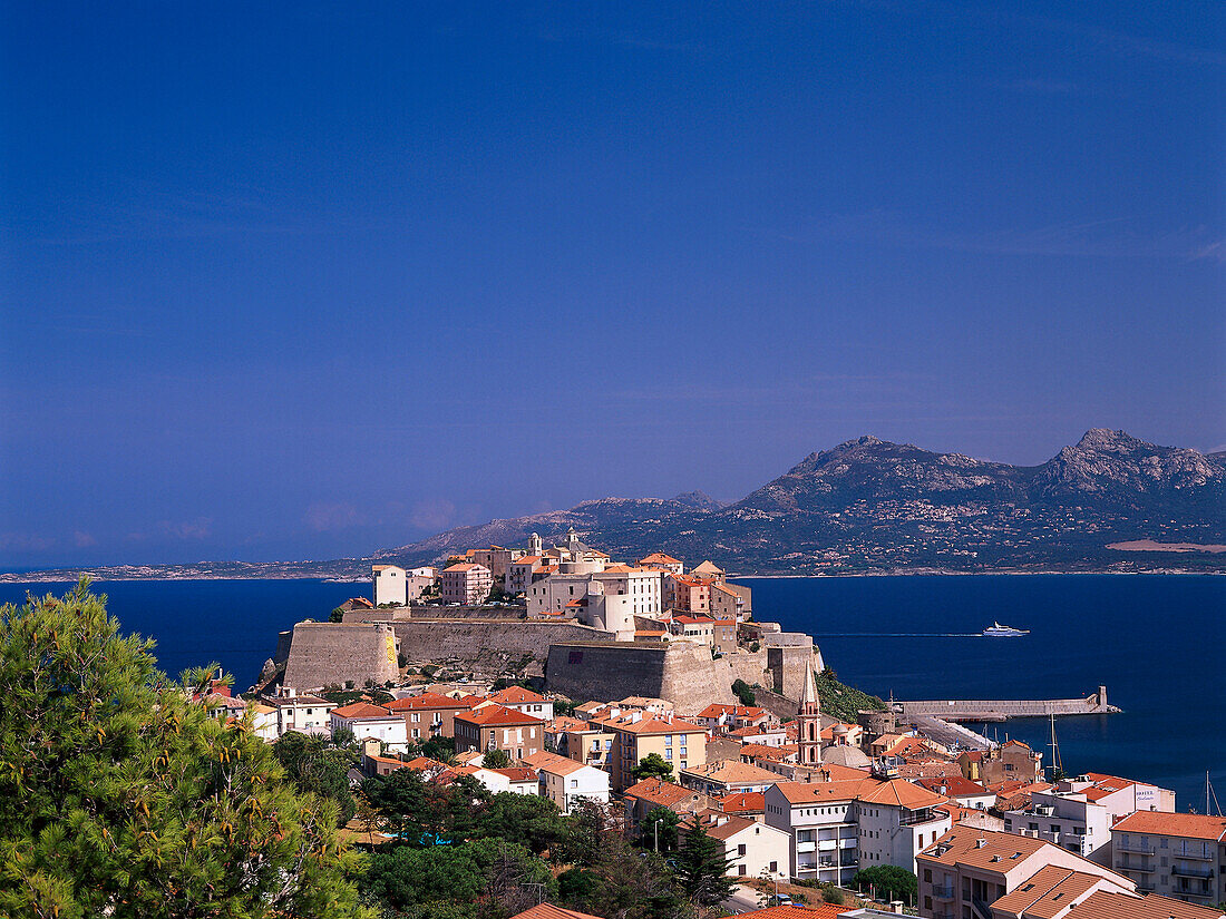 Zitadelle, Calvi, Korsika, Frankreich