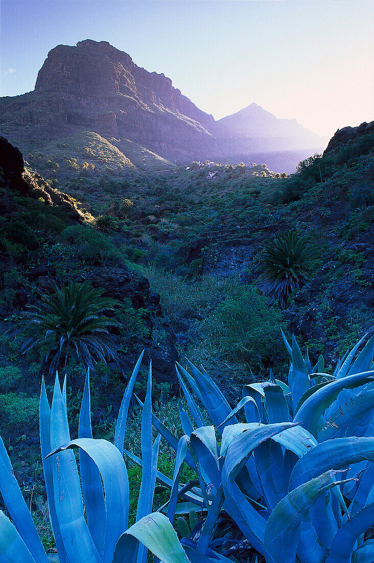 Masca canyon, Teno, Tenerife, Canary Islands, Spain