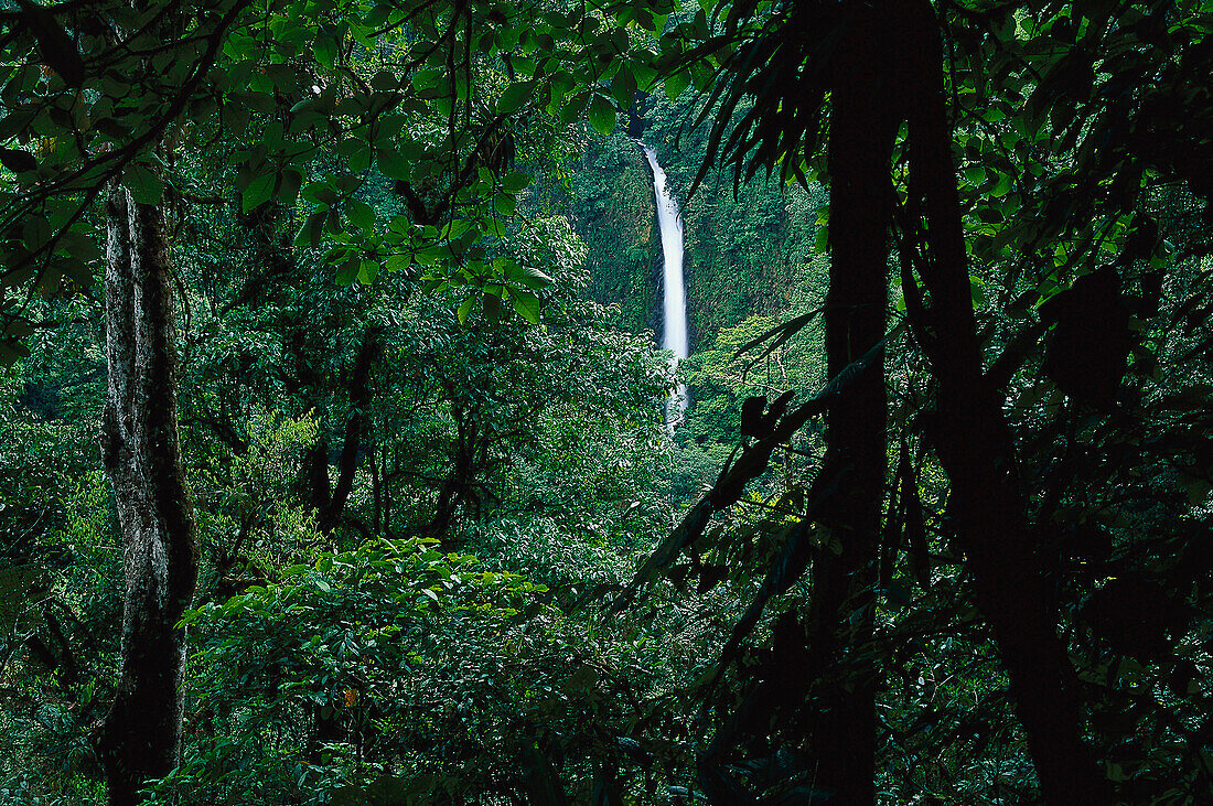 Blick auf Fortuna Wasserfall im Regenwald, Costa Rica, Mittelamerika, Amerika
