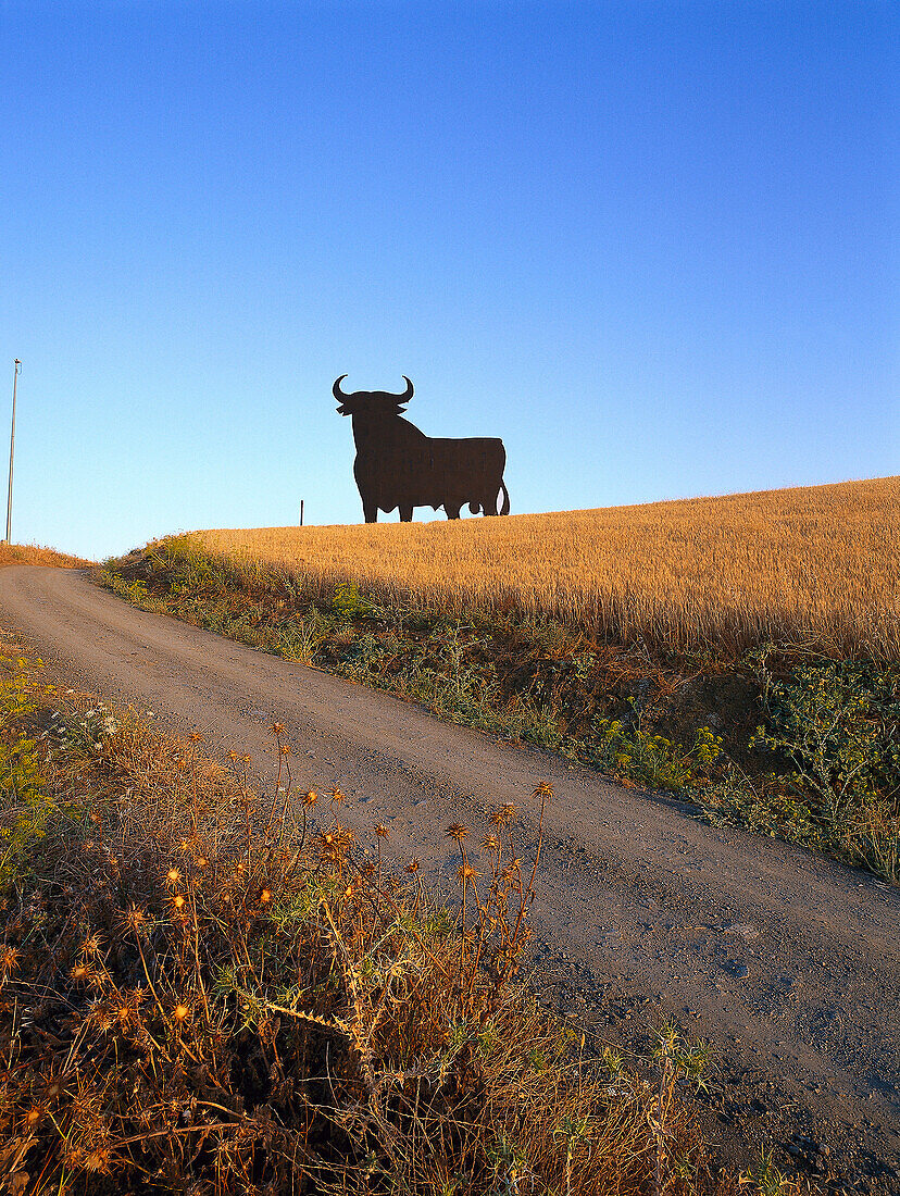 Osborne Stier, inoffizielles nationales Symbol für Spanien, Wahrzeichen der Öffentlichkeit seit 1994, Provinz Malaga, Andalusien, Spanien