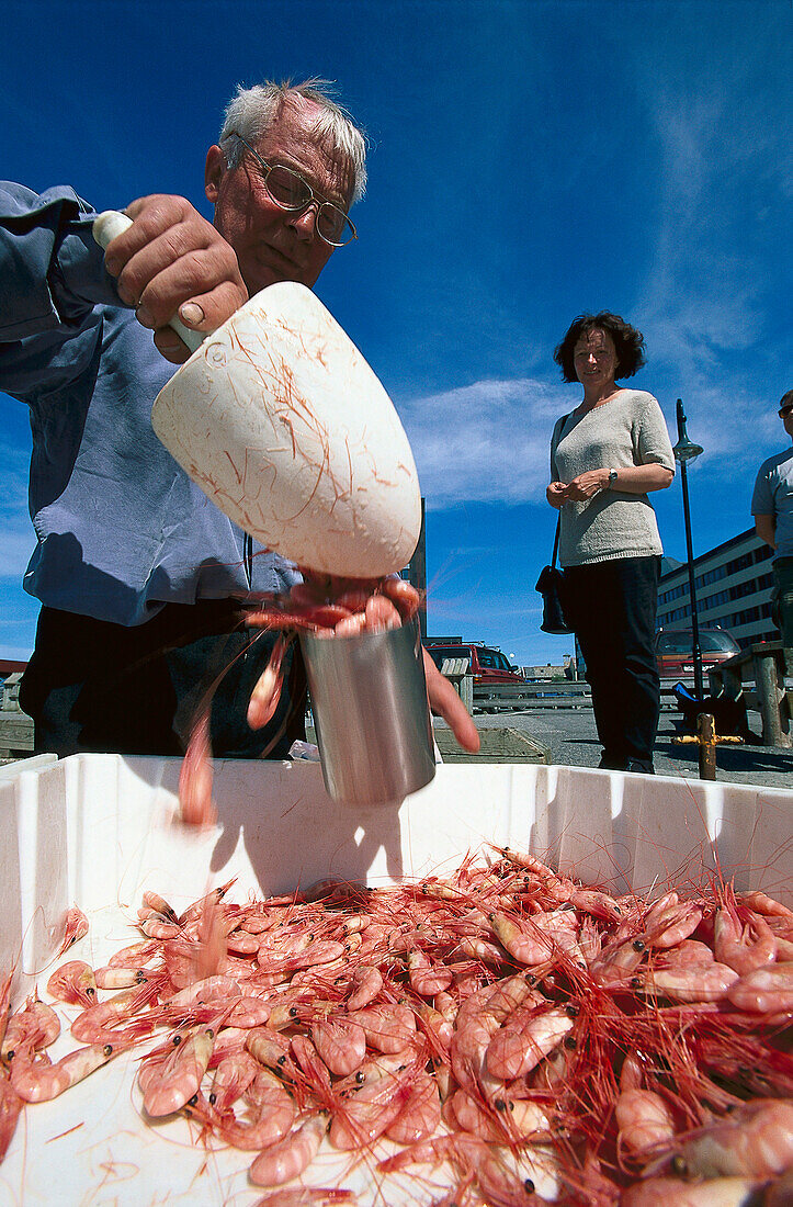 Shrimps Seller, Habour, Bodo, Nordland, Norway