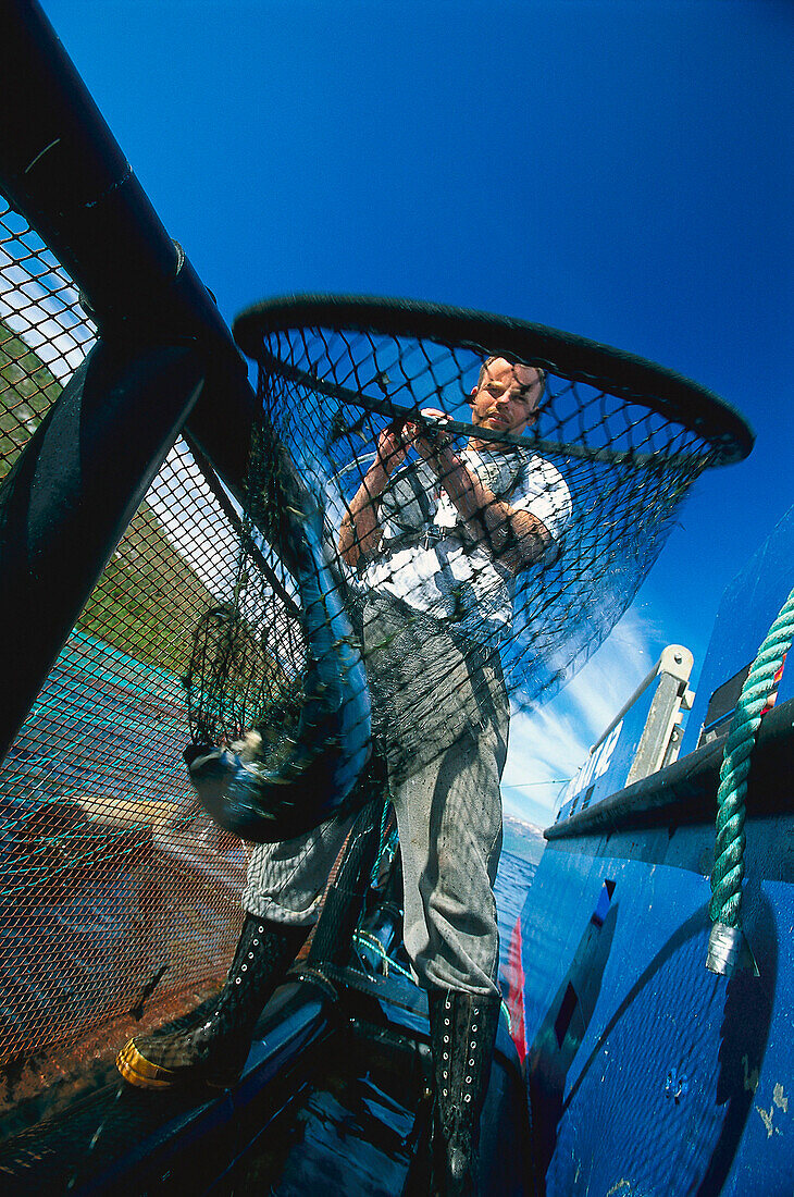 Grower on fish farm, Follalaks, Morsvikfjord, Nordland, Norway