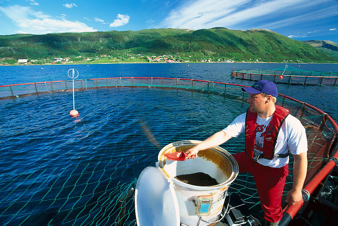 Fischer beim Lachse Füttern, Fischzucht, Follalaks, Morsvikfjord, Nordland, Norwegen