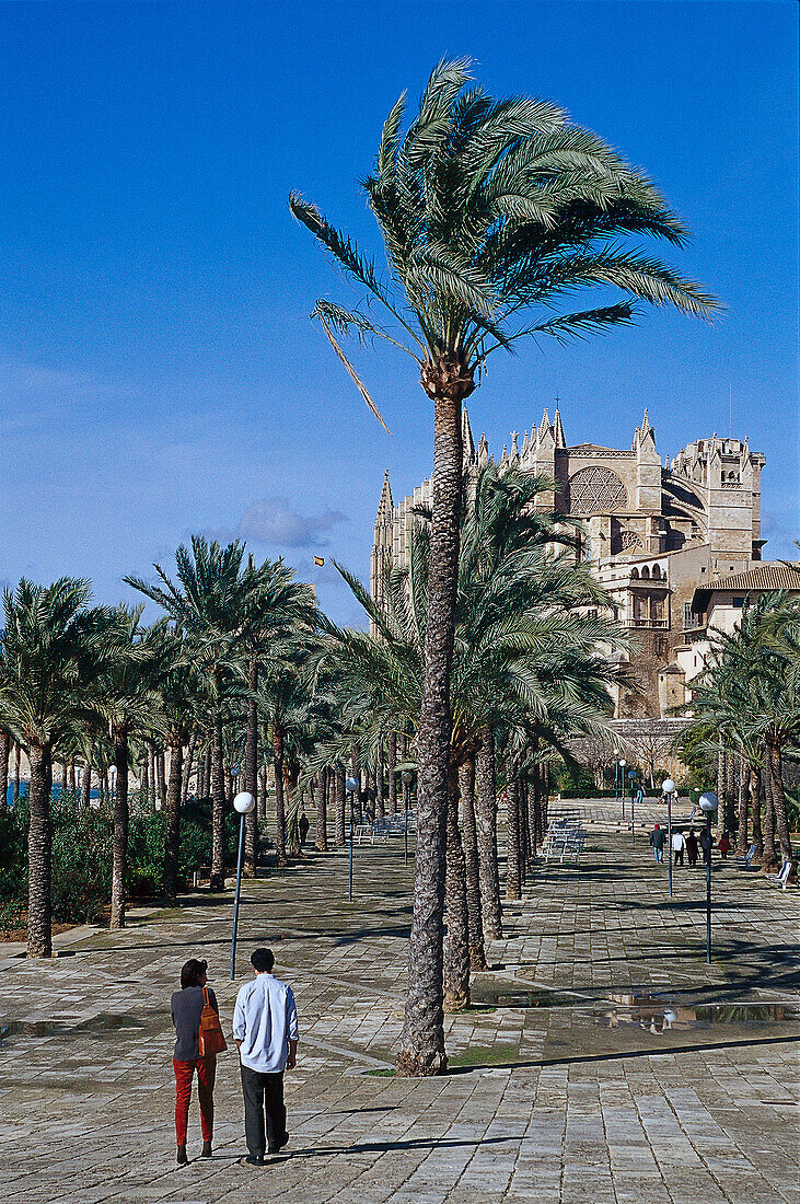 Parc de la Mar, Kathedrale der Heiligen Maria, Kathedrale La Seu im Hintergrund, Palma de Mallorca, Mallorca, Spanien