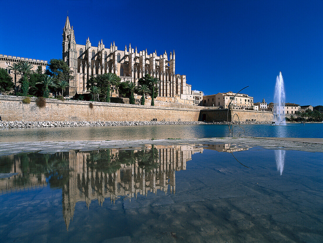 Cathedral La Seu with reflection, Palma Cathedral, Cathedral of Santa Maria of Palma, Palma de Mallorca, Mallorca, Spain