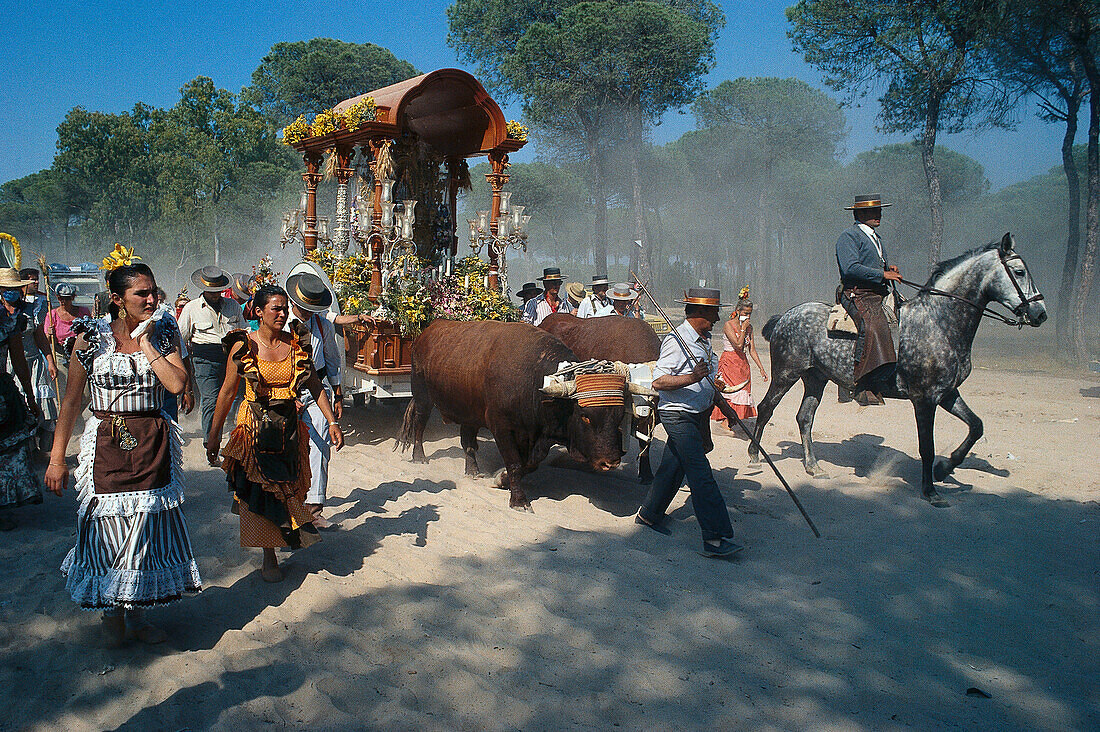 Pilgrims travelling afoot, on horseback and with oxcarts on the Raya Real, Andalusia, Spain