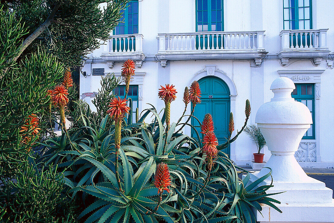 Aloe Vera vor dem Rathaus, Haria, Lanzarote, Kanarische Inseln, Spanien