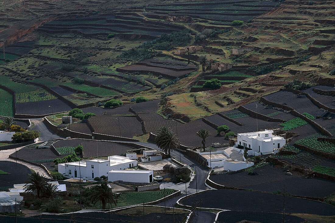 Ackerbau, LAvafelder, Los Valles, Lanzarote, Kanarische Inseln, Spanien
