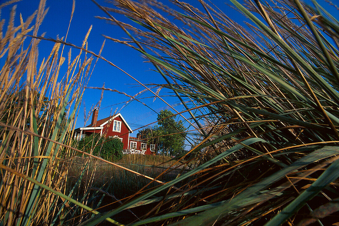 Summer Cottage, Grisslehamm, Vaeddoe, Stockholm Archipelago, Sweden