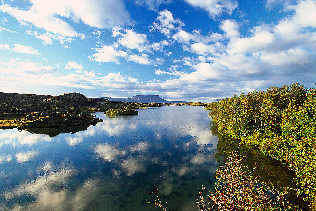 Landscape with shallow lake, Myvatn, North, Iceland