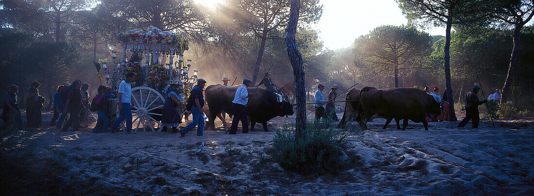 Pilger durchqueren mit ihren Ochsenkarren den Donana Nationalpark, Andalusien, Spanien