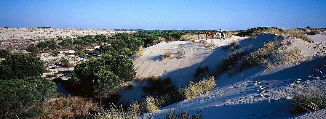 Pilgrims riding over sand dune, Andalusia, Spain