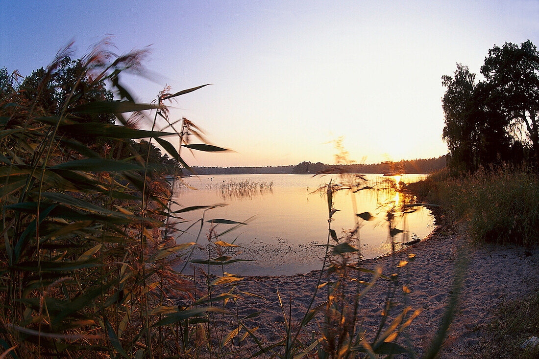 Evening at Finnhamn, Stockholm´s Archipelago Sweden