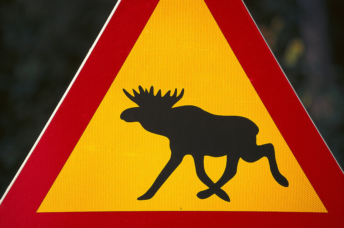 Elk danger sign, Sweden