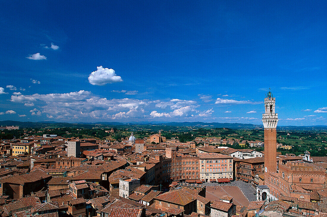 Piazza del Campo, Torre del Mangia, Siena, Toskana, Italien