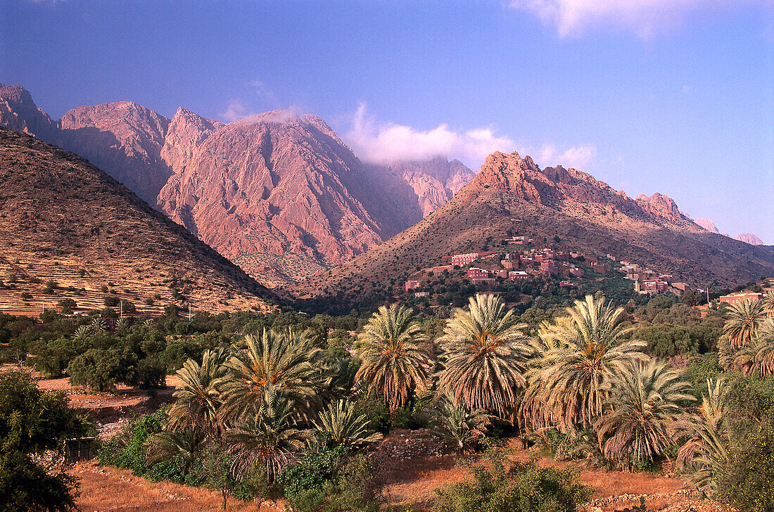 Berglandschaft mit Palmen, Tafraoute, Anti Atlas, Marokko