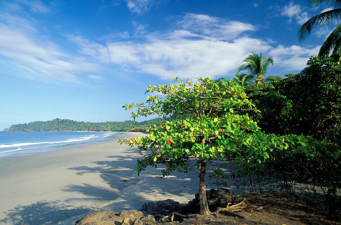 Idyllischer Strand im Sonnenlicht, Playa Espadilla, Manuel Antonio, Costa Rica, Mittelamerika, Amerika