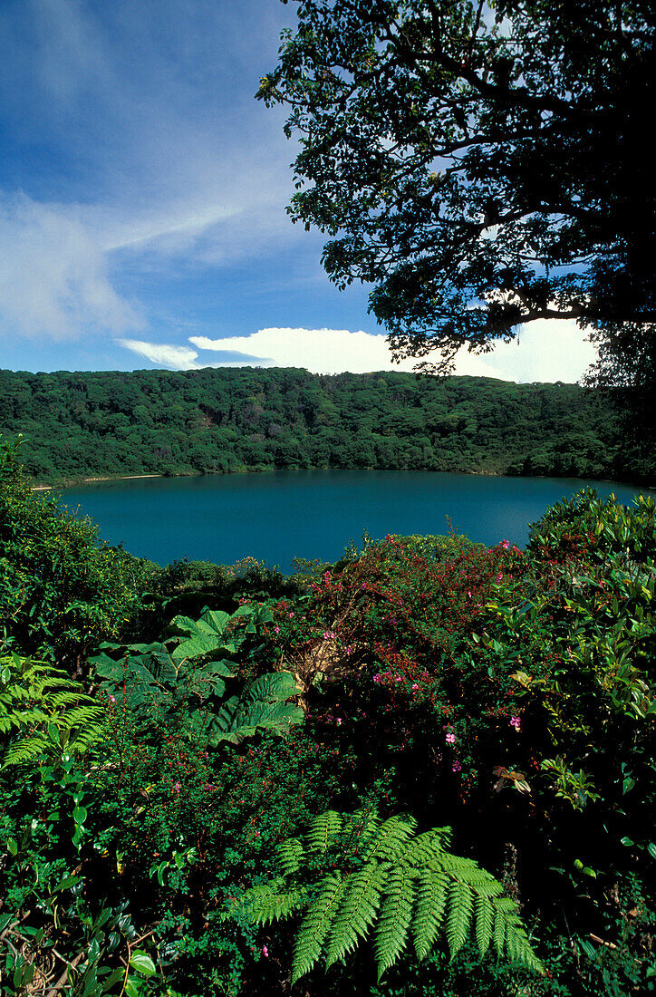 Crater lake Laguna Boto at Volcano Poas National Park, Costa Rica,  Central America, America
