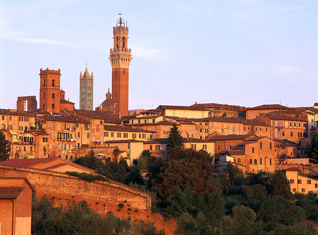 Blick auf die Torre del Mangia, Siena, Toskana, Italien