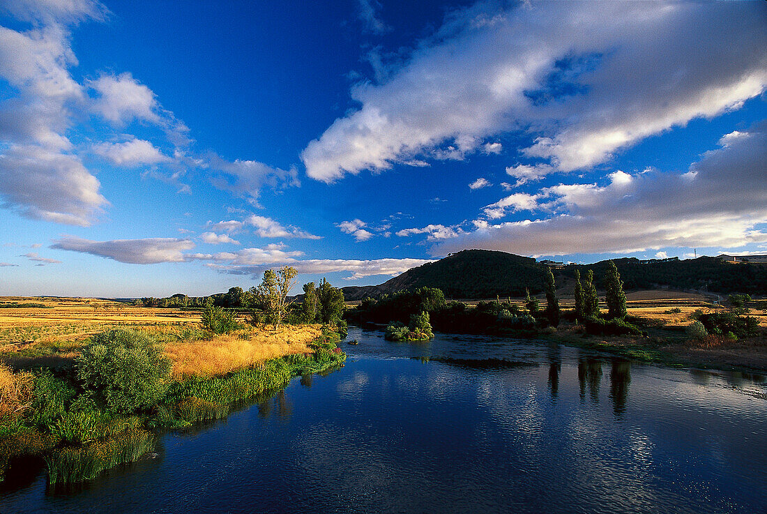 Rio Arga und Landschaft in der Nähe von Tafalla, Navarra, Spanien