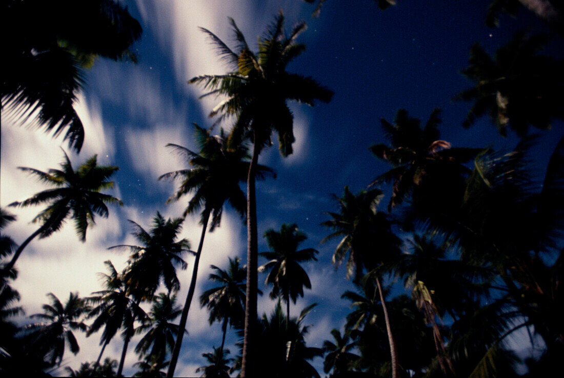 Palmen, Wolken, Sterne, Vollmond, La Digue Seychellen