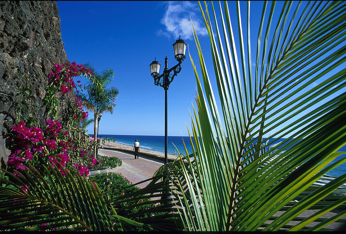 Strandpromenade, Morro Jable, Jandia, Fuerteventura Kanarische Inseln, Spanien