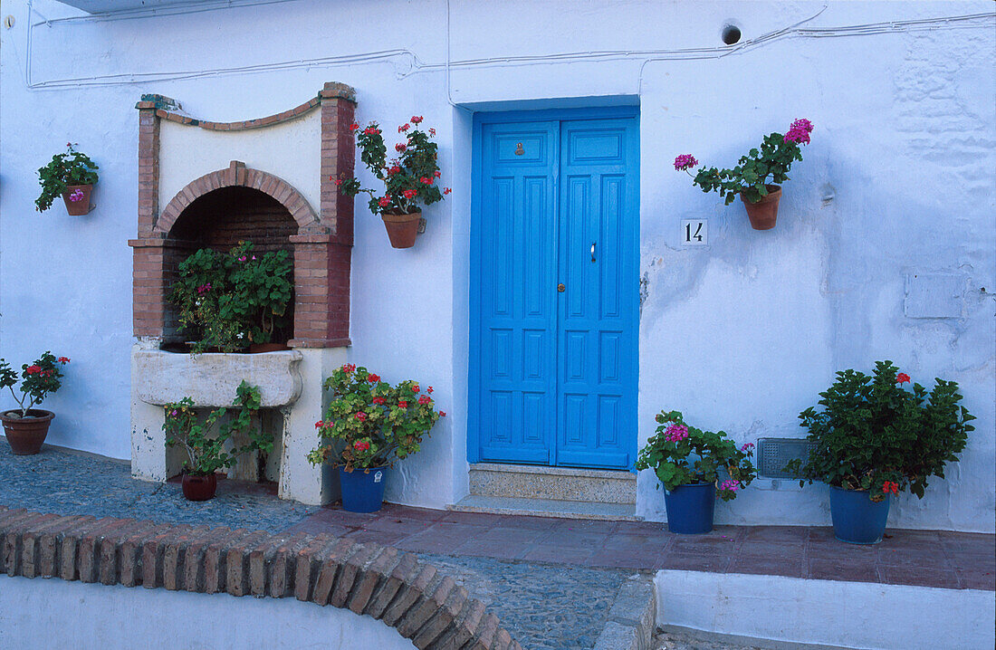 Haustür, Topfpflanzen, Frigiliana, Weißes Dorf, Provinz Málaga Andalusien, Spanien