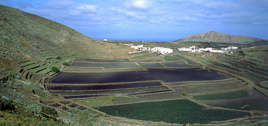 Felder in Vulkankrater, Guiguán, Lanzarote Kanarische Inseln, Spanien