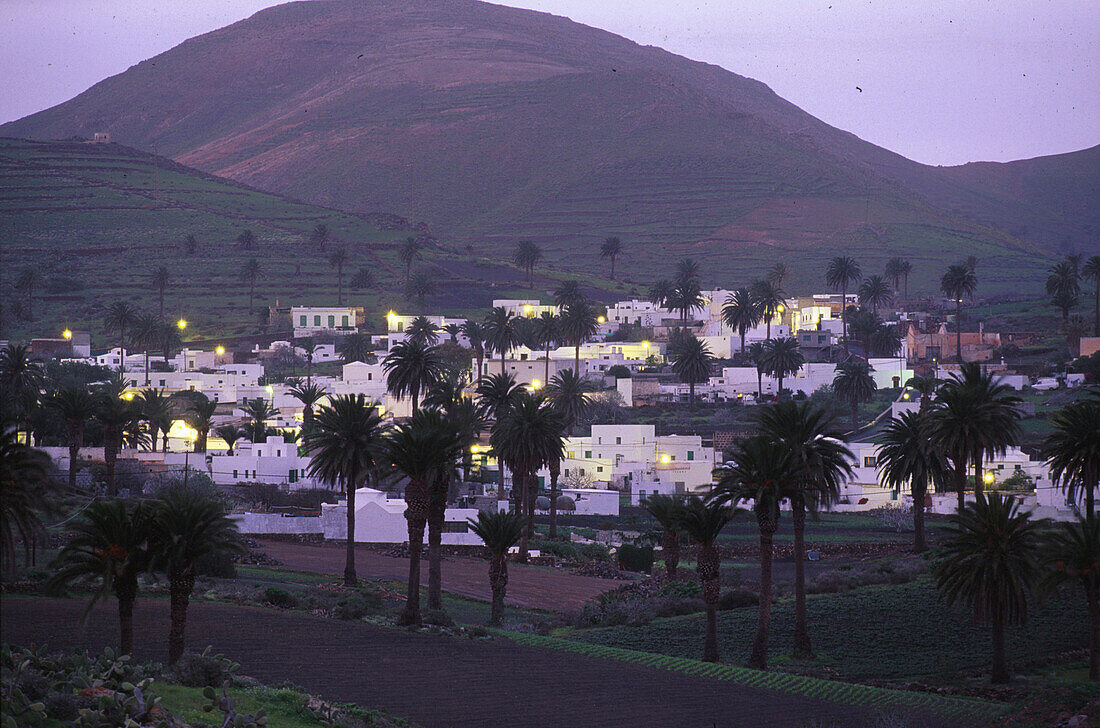 Haria im Tal der tausend Palmen, Haria, Lanzarote Kanarische Inseln, Spanien