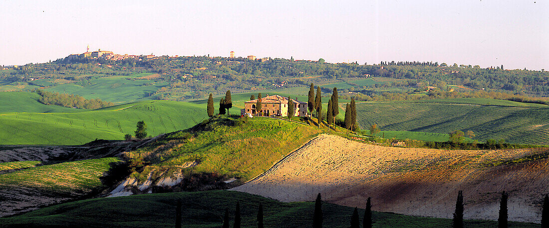 Landhaus mit Zypressen, San Quirico d'Orcia Toskana, Italien