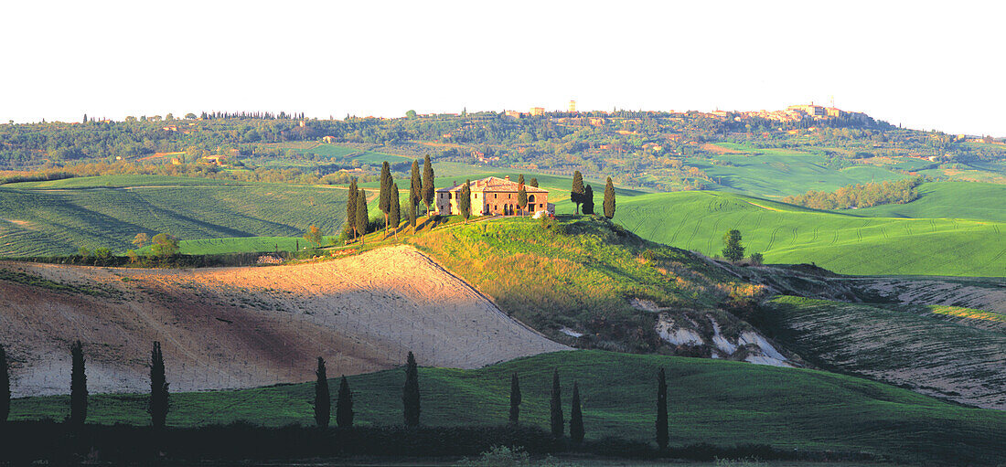 Landhaus mit Zypressen, bei San Quirico d´Orcia Toskana, Italien, Europa