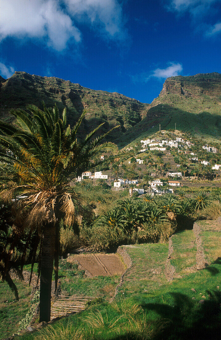 Lomo de Balo, Valle Gran Rey, La Gomera Kanarische Inseln