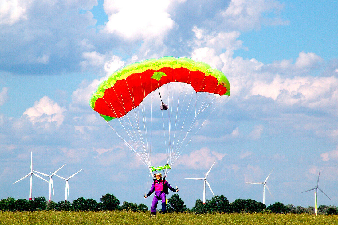 Sky diver landing on the ground, Airport Gransee, Brandenburg, Germany, Europe