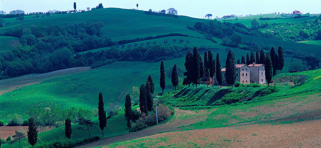 Landhaus mit Zypressen, bei Torrita di Siena Toskana, Italien