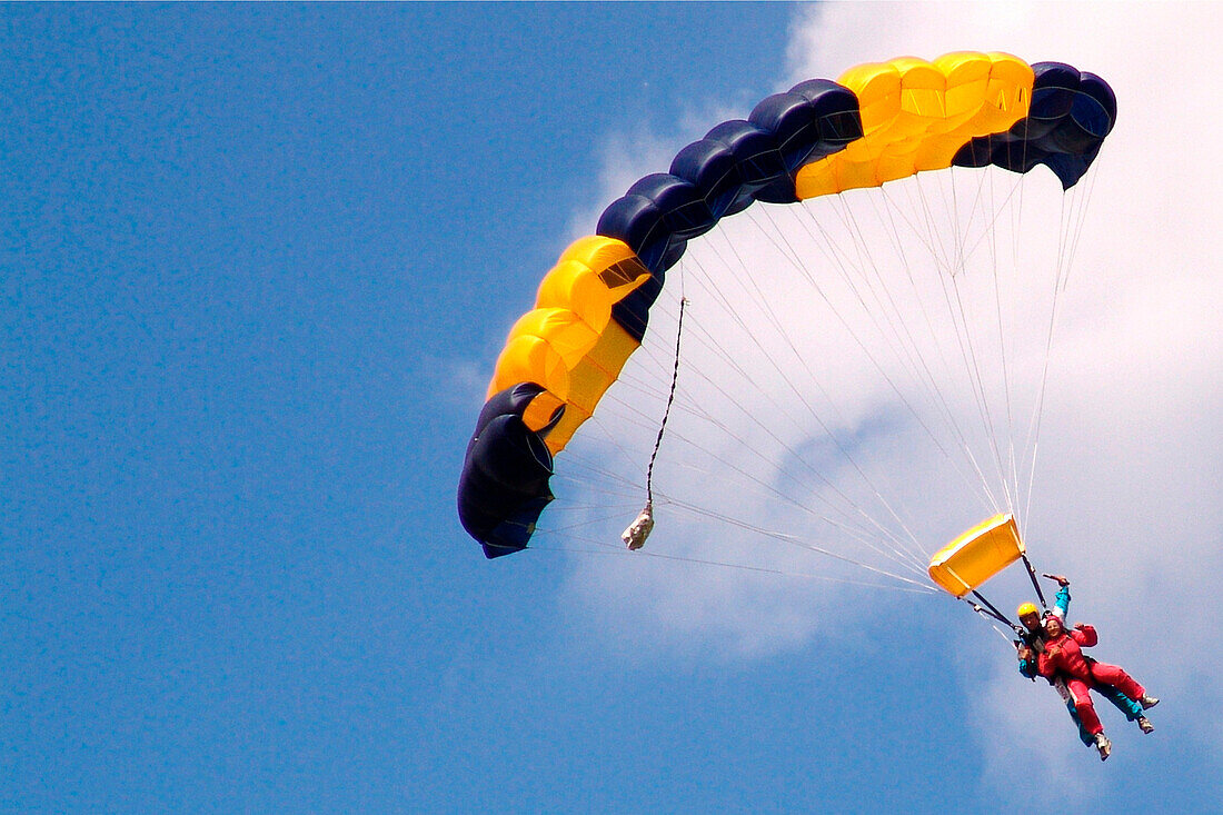 Sky divers at a tandem jump, Airport Gransee, Brandenburg, Germany, Europe