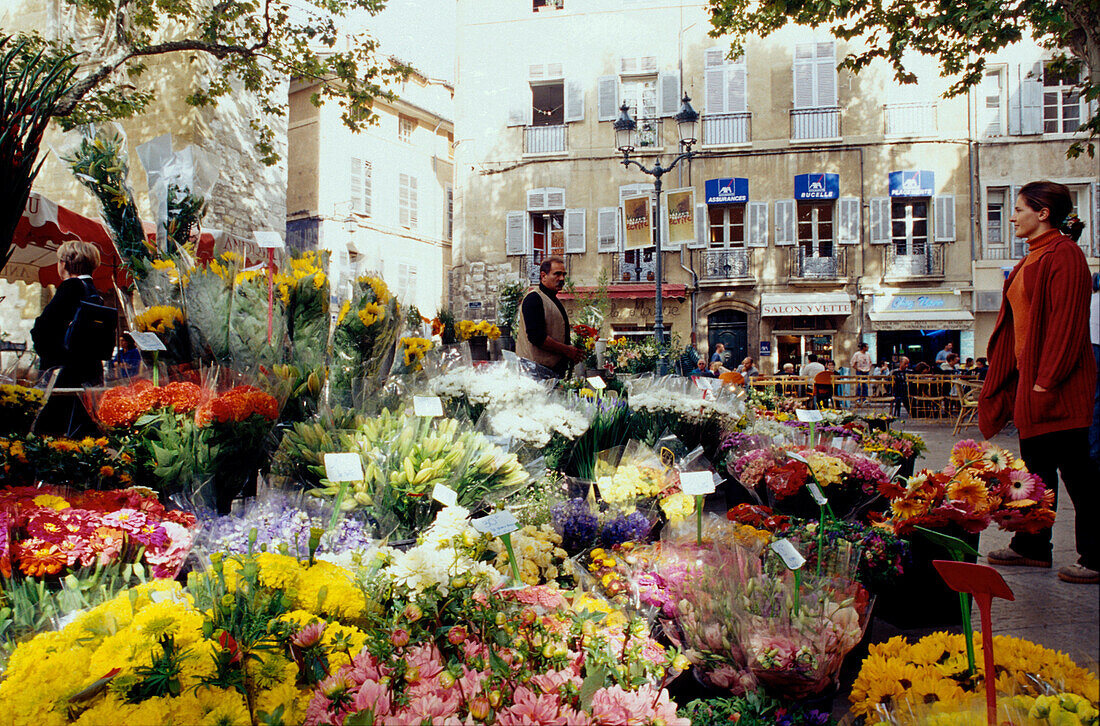 Blumen, Wochenmarkt, Aix-en-Provence, Bouches-du-Rhone Provence, Frankreich