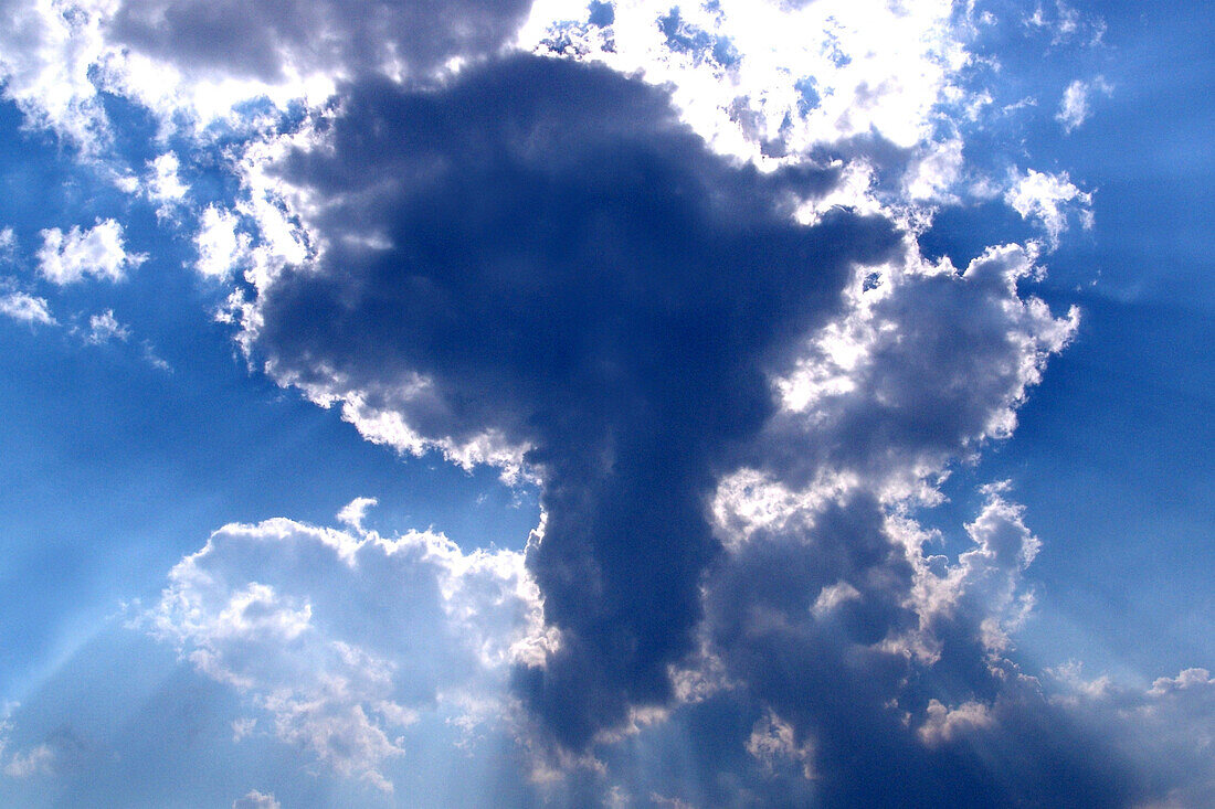 Cloud in the shape of Africa, Cape Town, South Africa, Africa