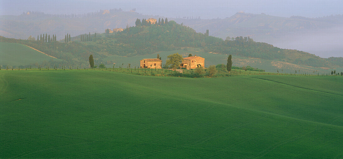 Typische toskanische Landschaft mit Hügeln und Häusern, Crete, in der Nähe von Asciano, Toskana, Italien