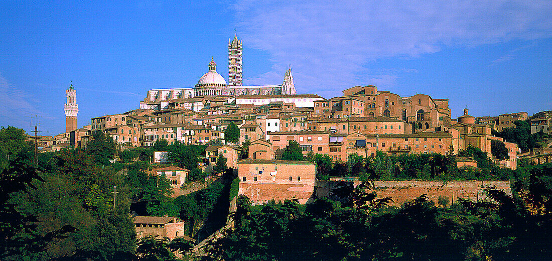 Siena, Stadtansicht, Toskana, Italien